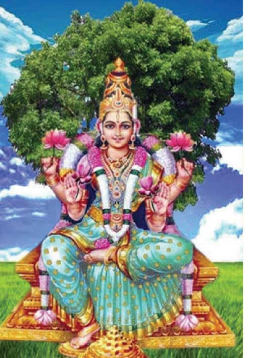 மங்னையரின் உடற்கூறும், அதிர்ஷ்ட நிலைகளும்! -எஸ். விஜயநரசிம்மன்