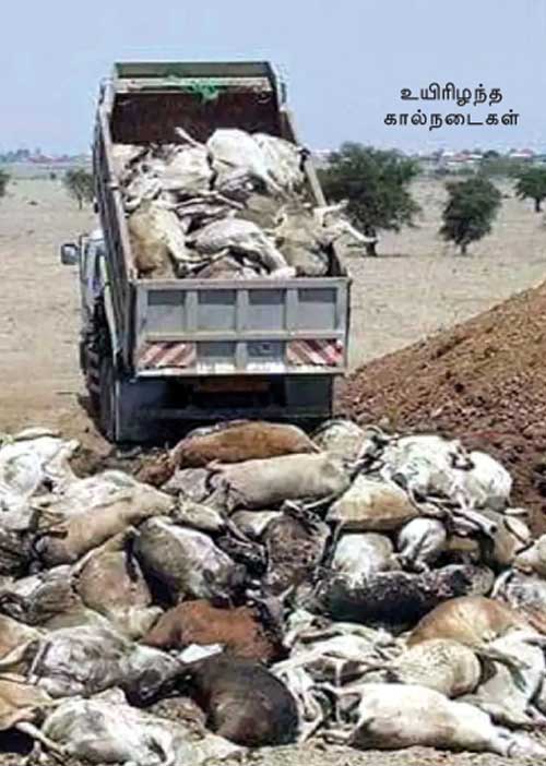 மாநிலம் தேசியம் சர்வதேசியம்!