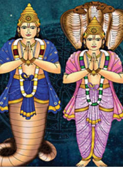 மனித வாழ்வில் அரவங்களின் பங்கு! -மேல்மருவத்தூர் எஸ். கலைவாணி