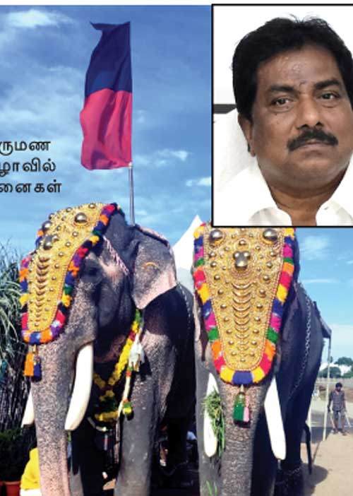 திருமணத்துக்கு யானைகள்! சர்ச்சையில் சிக்கும் அமைச்சர் மூர்த்தி!