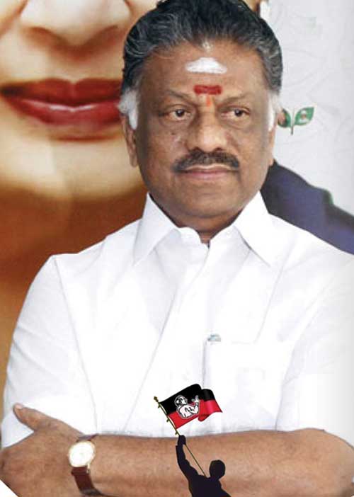 தனிக் கட்சி! பல்ஸ் பார்க்கும் பன்னீர்!
