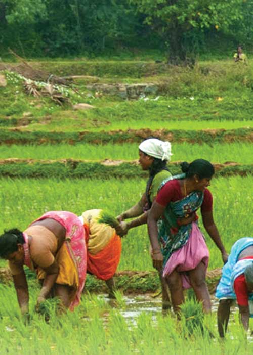 முடக்கப்படும் பிரதமரின் கிசான் திட்டம்! கொந்தளிப்பில் விவசாயிகள்!