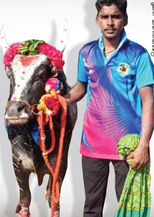 ஜல்லிக்கட்டு வீரரை வீழ்த்திய சபலம்! -பகீர் ரிப்போர்ட்!