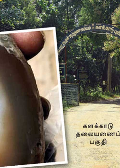 கொள்ளை போகும் வைடூரியம்! -வேடிக்கை பார்க்கும் அதிகாரிகள்