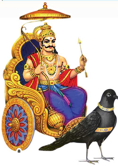 கும்ப லக்னத்திற்கு 12 பாவங்களில் சனி!