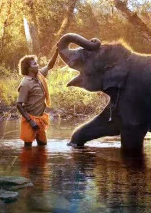 ஆஸ்கர் விருதை வென்ற இந்தியர்