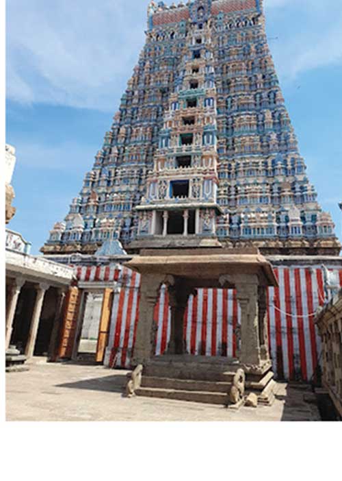 பெருமாளுக்குப் பல்லாண்டு பாடிய சித்தர்! முனைவர் இரா. இராஜேஸ்வரன்