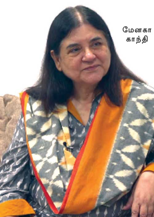 மாவலி பதில்கள்