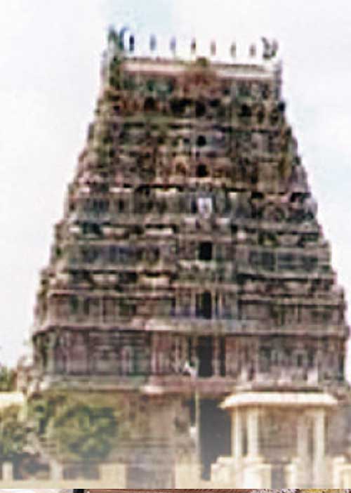 சரணடைந்தவருக்கு சந்தோஷ வாழ்வருளும் திருச்சேறை சாரநாதப் பெருமாள்! கோவை ஆறுமுகம்