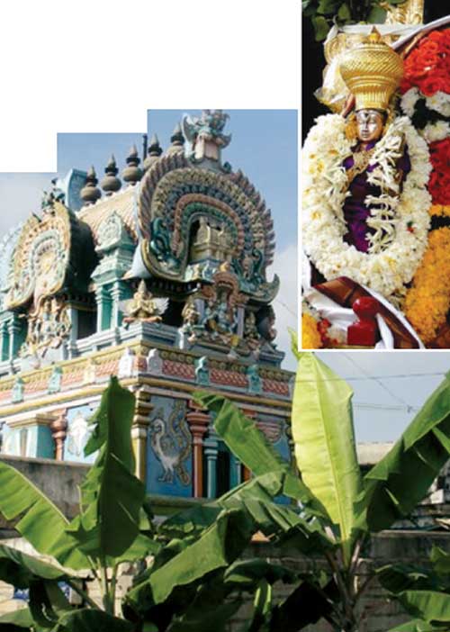 நலம் தரும் திருத்தலம்! விசு அய்யர் 12
