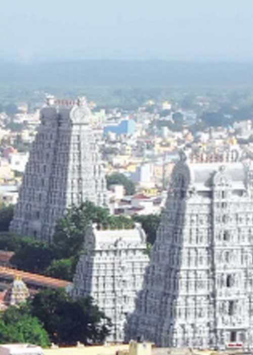 க்ரைம் புரோக்கர்களால் பிச்சை எடுக்கும் சிறார்கள்! -அண்ணாமலை நகரை அதிரவைக்கும் பிஸ்னஸ்!