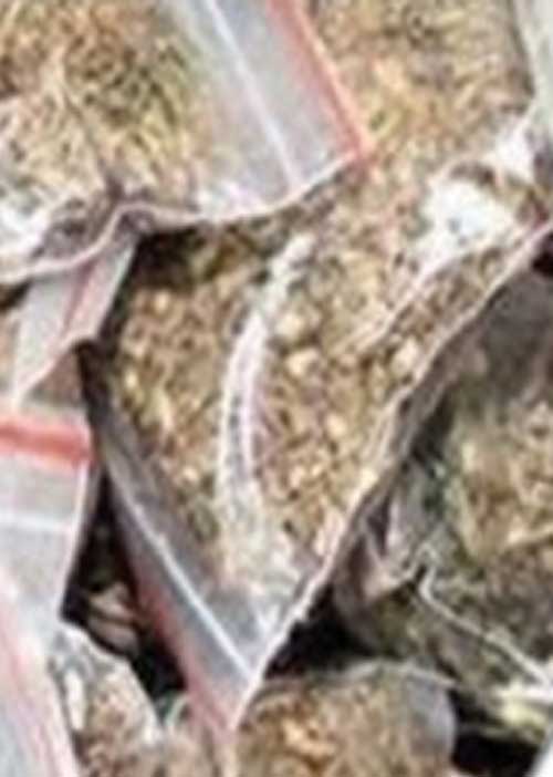 கஞ்சா விற்பனை! கொலை! துணைபோகும் போலீசார்!