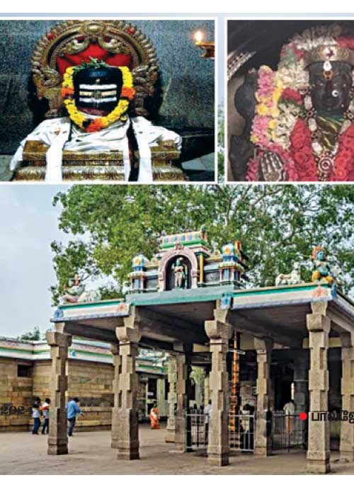 நலம் தரும் திருத்தலம்! விசு அய்யர் 23
