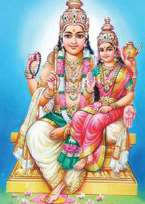 லௌகீக வாழ்க்கையின் ஆதார சுருதியாக இருப்பவர் சுக்கிர பகவான்! அஸ்ட்ரோ லட்சுமிதேவி