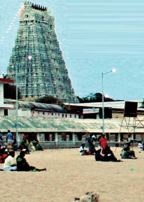 கோடிக்கணக்கில் கொள்ளை! திருச்செந்தூர் முருகனுக்கே விபூதி... அம்பலப்படுத்திய ஆர்.டி.ஐ!