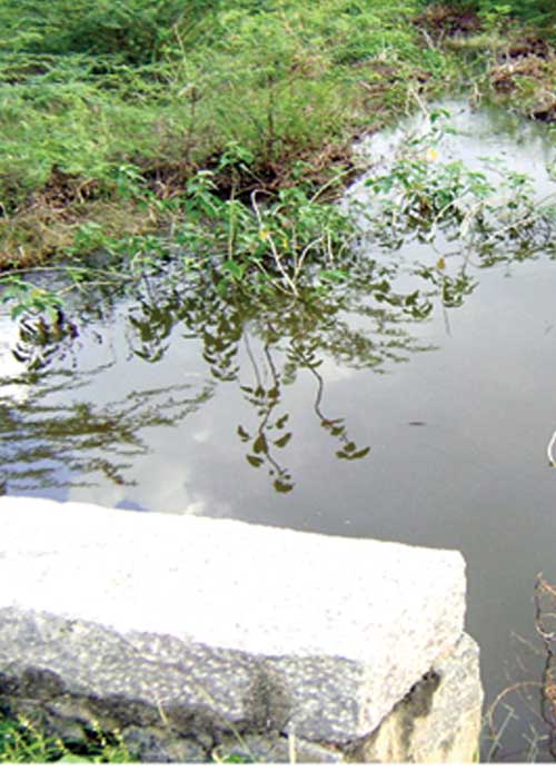நந்தன் கால்வாய் திட்டம்! விவசாயிகள் கனவு நிறைவேறுமா?