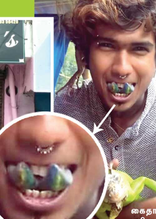 டாட்டூ கலாச்சாரக் கொடூரம்!