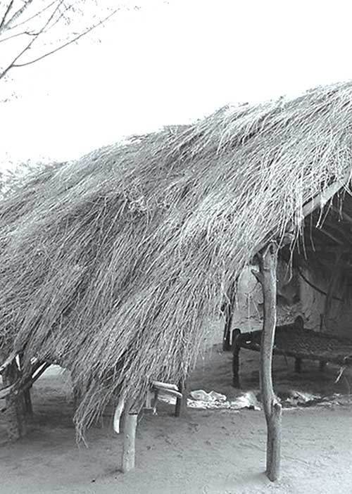 கைதி எண் 9658 -சி.மகேந்திரன்  (15