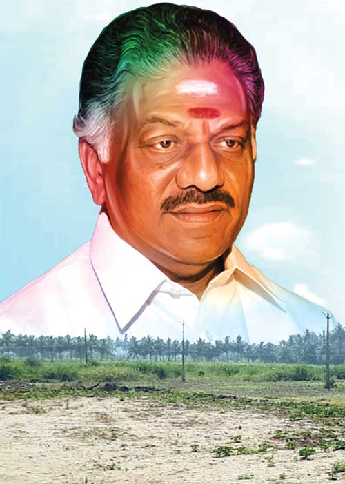 பஞ்சமி நில ஆக்ரமிப்பு புகாரில் ஓ.பி.எஸ்.! - ஆணையம் அதிரடி உத்தரவு!