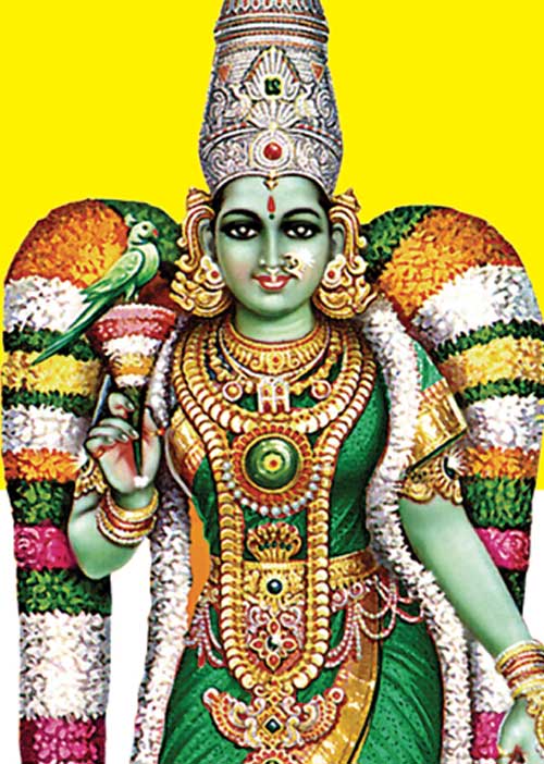வசியம் செய்யும் வேப்பம்பூ பச்சடி! -ஆர். மகாலட்சுமி