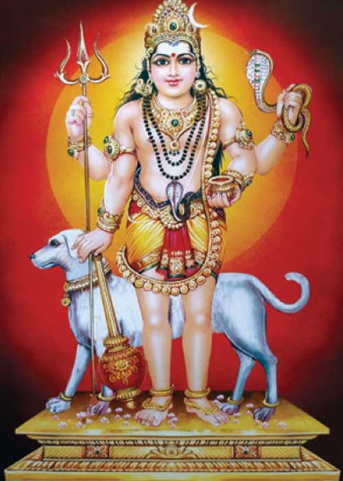 முதலாளியாக்கும் சதுஷ்பாதம்! ஜோதிட கலையரசி M.தனம்