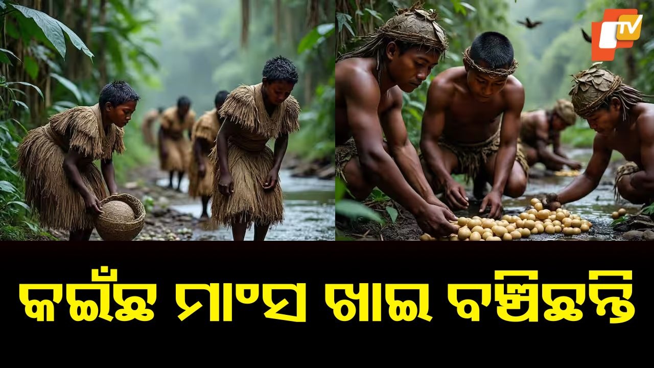 Mashco-Piro tribe: ବାହାର ଦୁନିଆରୁ ବିଚ୍ଛିନ୍ନ, କଇଁଛ ମାଂସରେ ବଞ୍ଚିଛି ଜୀବନ