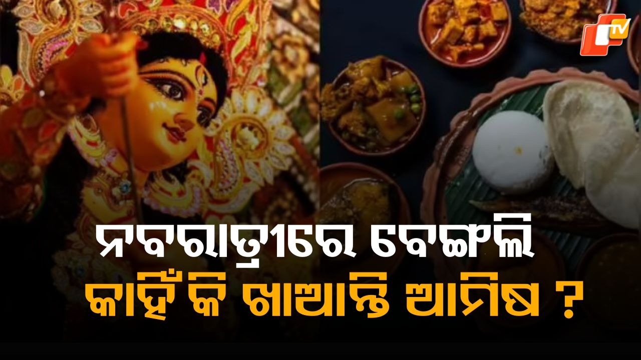 Why Do Bengalis Eat Non Veg: ଅନେକ ନବରାତ୍ରୀରେ ଉପବାସ ରଖନ୍ତି, କିନ୍ତୁ ବେଙ୍ଗଲିମାନେ ଦୁର୍ଗା ପୂଜାରେ ନନ୍-ଭେଜ୍ କାହିଁକି ଖାଆନ୍ତି?
