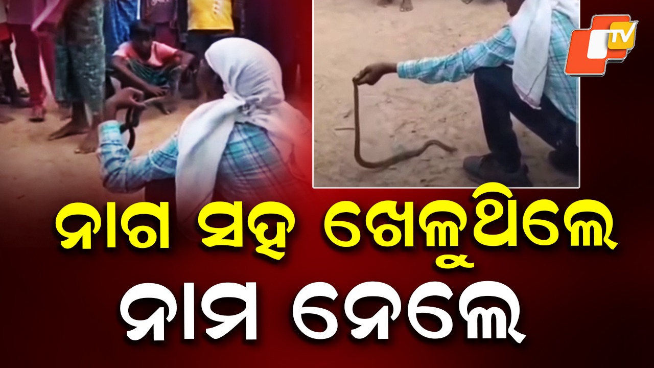 Fatal Snake Bite: ନାଗ ସହ ଖେଳୁଥିଲେ ନାମ ନେଲେ, ଚାଲିଗଲା ଜୀବନ