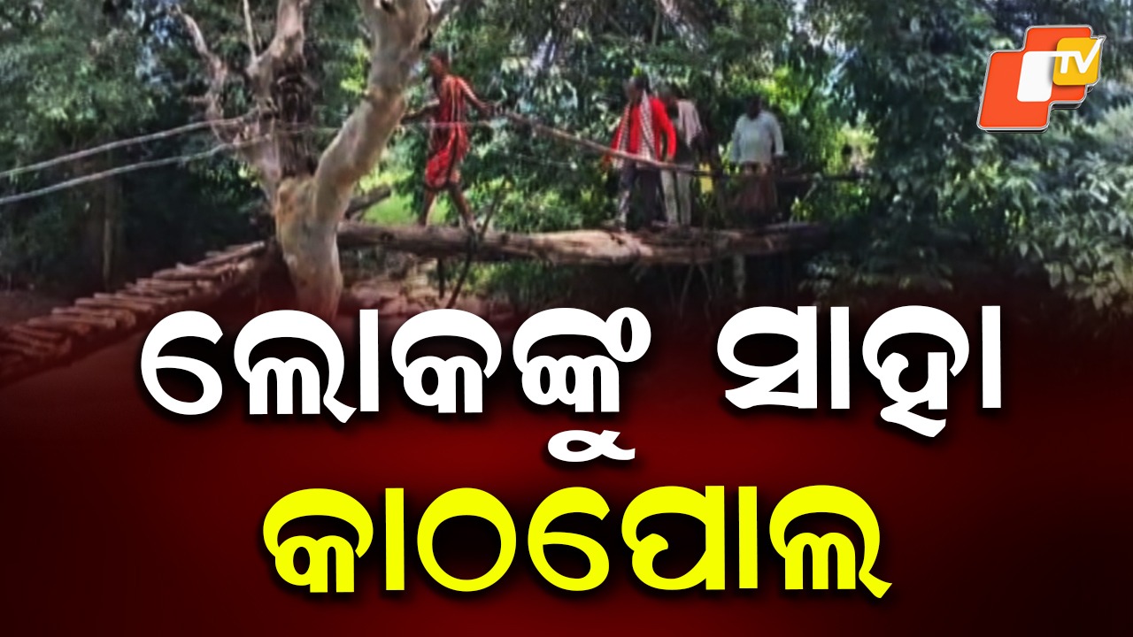 Wooden Pole Collapse Threatens: ପାଦେ ପାଦେ ବିପଦ, ତଥାପି ଅଟକିନି ଜୀବନ...ପଢ଼ନ୍ତୁ ଗୋଟିଏ କ୍ଲିକରେ