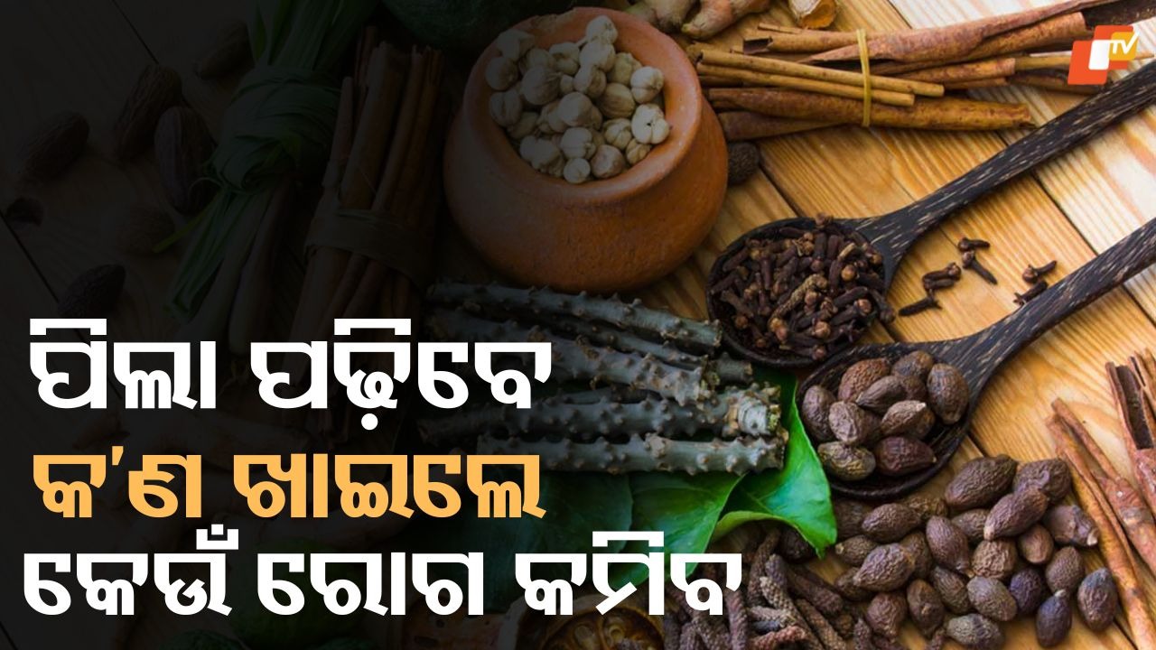 Ayurveda Education to Enter Classrooms: ସ୍କୁଲ ଓ କଲେଜରେ ପଢ଼ାଯିବ ଆୟୁର୍ବେଦ, ତିଆରି ହେଉଛି ନୂତନ ପାଠ୍ୟକ୍ରମ