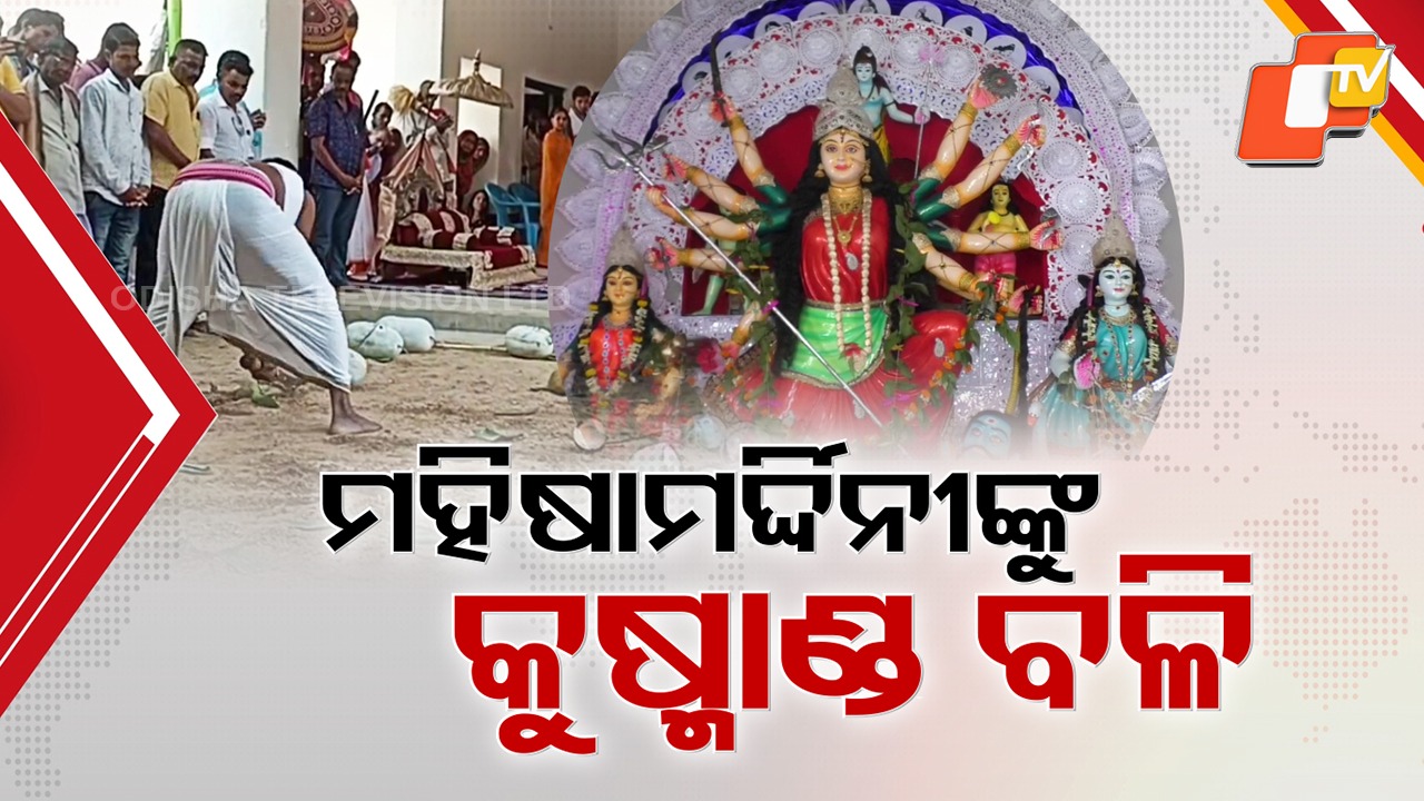 Mahashtami Sandhi Puja: ଚଣ୍ଡିପାଠ ସାଙ୍ଗକୁ ମହିଷାମର୍ଦ୍ଦିନୀଙ୍କୁ କୁଷ୍ମାଣ୍ଡ ଅର୍ପଣ , ପଶୁ ବଳିରେ ରକ୍ତରଂଜିତ ହେଲା ଭବାନୀପାଟଣାର ଛତର୍ ଯାତ୍ରା