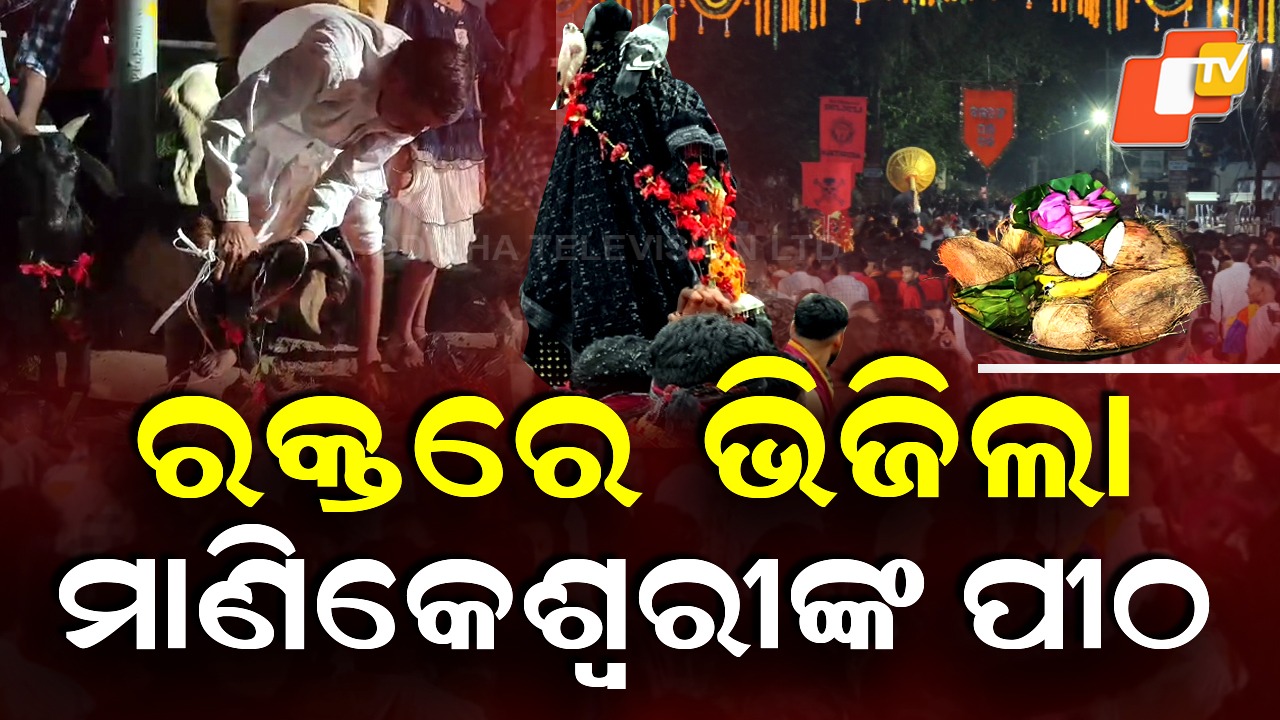 Chhatar Yatra: ରକ୍ତରେ ଭିଜିଲା ମାଣିକେଶ୍ବରୀଙ୍କ ପୀଠ, ଛତର ଯାତ୍ରାରେ ଲକ୍ଷାଧିକ ଶ୍ରଦ୍ଧାଳୁ ସାମିଲ