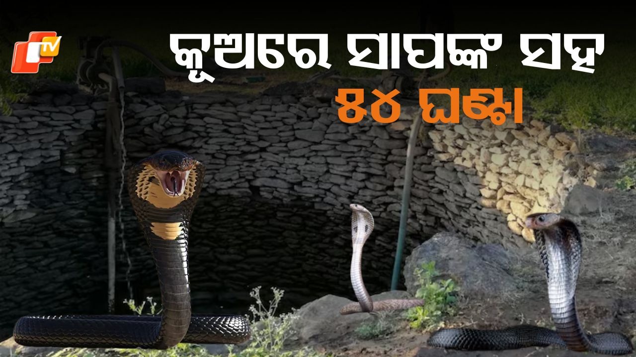Woman Trapped: କୂଅରେ ସାପଙ୍କ ସହ ୫୪ ଘଣ୍ଟା, ଭଗବାନ ବଞ୍ଚାଇଦେଲେ...ନହେଲେ କଣ ହୋଇଥାନ୍ତା