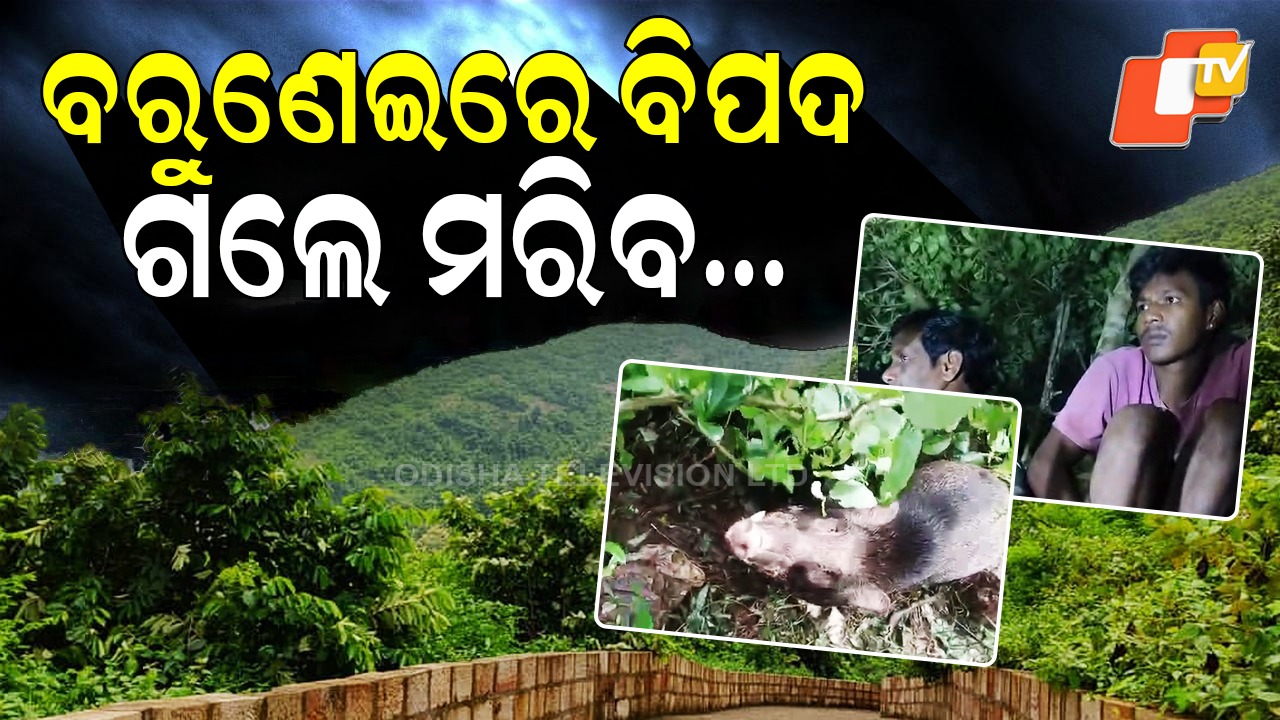 Police Officer Dies: ‍ବରୁଣେଇରେ ବିପଦ, ଗଲେ ମରିବ....ପଢ଼ନ୍ତୁ ଗୋଟିଏ କ୍ଲିକରେ