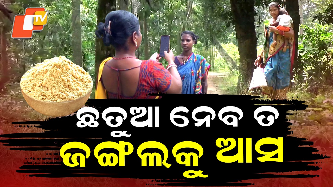 No Network No Nutrition: ଛତୁଆ ନେବ ତ ଜଙ୍ଗଲକୁ ଆସ,  ପୋଷଣ ଖାଦ୍ୟ ପାଇଁ ପାହାଡକୁ ଚଢିବାକୁ ପଡିବ