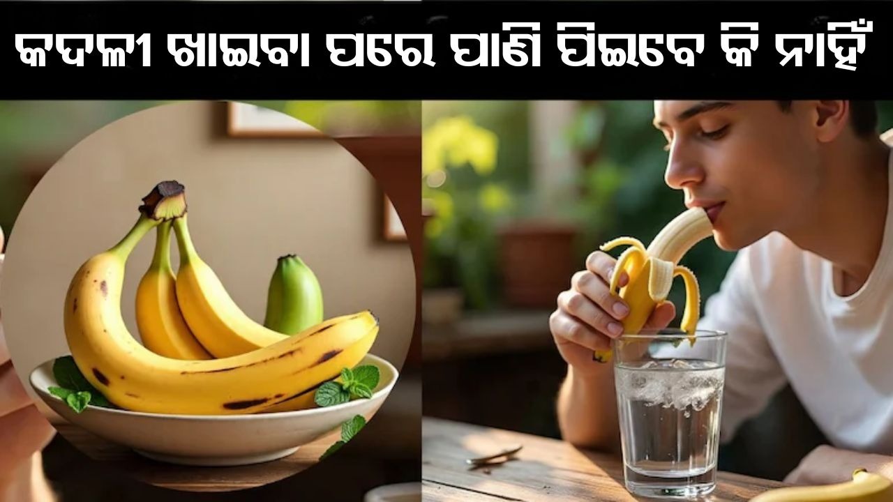 Eating Bananas: କଦଳୀ ଖାଇବା ପରେ ପାଣି ପିଇଲେ କଣ ହୁଏ ? ଜାଣନ୍ତୁ ଖାଇବାର ସଠିକ ଉପାୟ