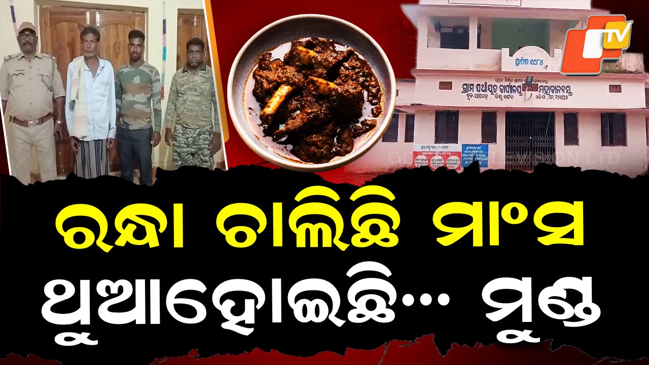 Wild Meat Feast Busted: ଭୋଜିର ଆସର: ରନ୍ଧା ଚାଲିଛି ମାଂସ, ଥୁଆ ହୋଇଛି ମୁଣ୍ଡ