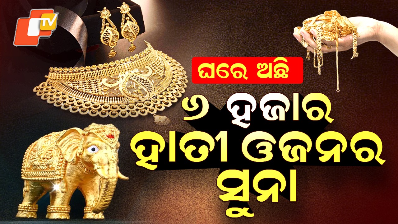 Indians Hold Gold: ୬୦୦୦ ହାତୀଙ୍କ ଓଜନ ଯେତିକି, ଭାରତୀୟଙ୍କ ପାଖରେ ସୁନା ସେତିକି