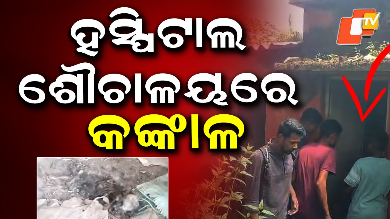 Skeletons In Toilet: ଶୌଚାଳୟରେ କଙ୍କାଳ, ସ୍ଥାନୀୟ ଅଞ୍ଚଳରେ ଚାଞ୍ଚଲ୍ୟ...କେଉଁଠୁ ଆସିଲା ହୋଇନି ସ୍ପଷ୍ଟ