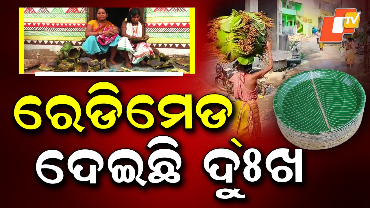Traditional Leaf Plate Makers: ରେଡିମେଡ୍ ଦେଇଛି ଦୁଃଖ, ଲୋକଙ୍କ ଜୀବିକା ସଙ୍କଟରେ