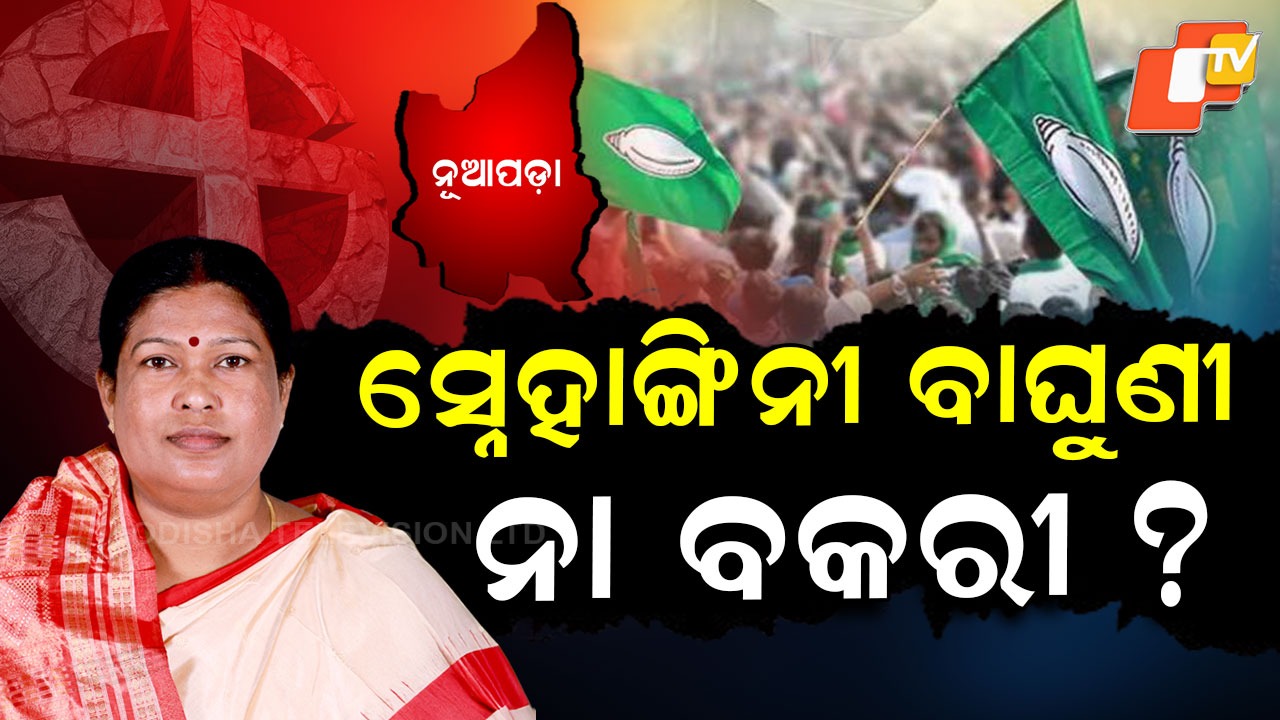 Snehangini Chhuria: ନୂଆପଡ଼ା ପାଇଁ ‘ବକରୀ’ ବନିନାହାନ୍ତି ତ ସ୍ନେହାଙ୍ଗିନୀ ?