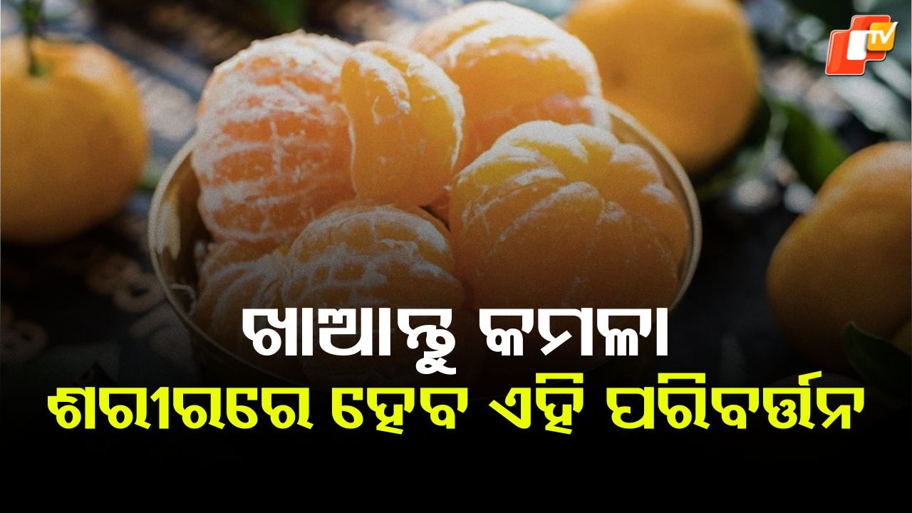 One Orange Daily: ପ୍ରତିଦିନ ଗୋଟିଏ କମଳା ଖାଇଲେ କ'ଣ ହୁଏ ? ପଢ଼ନ୍ତୁ ଗୋଟିଏ କ୍ଲିକରେ