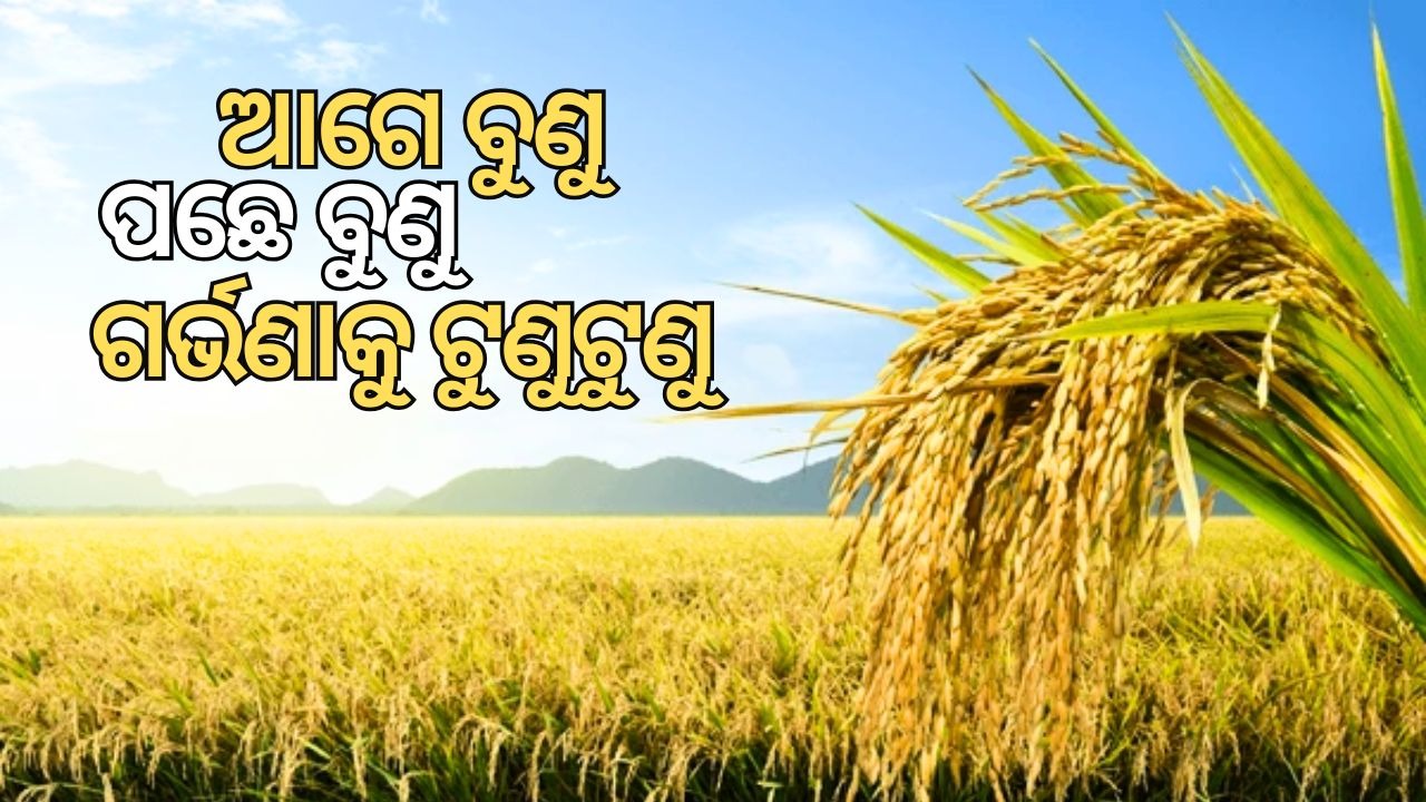 Garvana Sankranti: ଓଡ଼ିଆମାନେ କାହିଁକି ପାଳନ୍ତି ଗର୍ଭଣା ସଂକ୍ରାନ୍ତି, ଏହିଦିନ କାହାକୁ ପୂଜା କରାଯାଏ, କାହିଁକି ହୋଇଛି ଏମିତି ନାମକରଣ