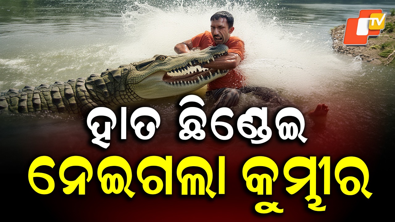 Heroic Rescue Gone Wrong: ଛେଳିକୁ ବଞ୍ଚାଇଲେ ରଞ୍ଜିତ, କିନ୍ତୁ ନିଜର ଗୋଟିଏ ହାତ ନେଇଗଲା କୁମ୍ଭୀର