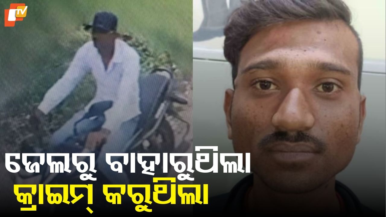 From Jail to Crime Again: ଜେଲ୍ ଫେରନ୍ତା ଅପରାଧୀର ରାକ୍ଷସ ମନୋବୃତ୍ତି: ଅଷ୍ଟ୍ରେଲୀୟ ଖେଳାଳିଙ୍କୁ ଅସଦାଚରଣ କରିଥିବା ନାଇଟ୍ରାର ଅପରାଧ ରେକର୍ଡ