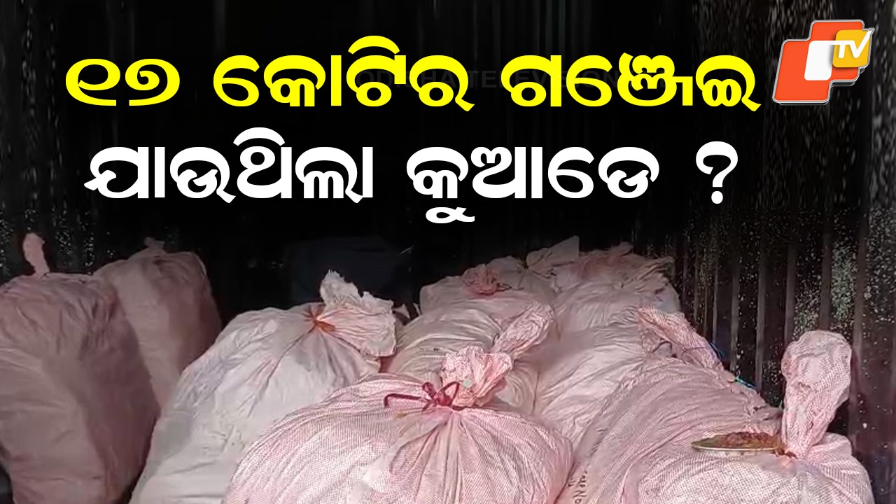 Police recover ₹17 crore ganja consignment: ୧୭ କୋଟି ଟଙ୍କାର ଗଞ୍ଜେଇ ଜବତ କଲା ପୋଲିସ, କିନ୍ତୁ ଧରାପଡିଲାନି ସ୍ଥାନୀୟ ମାଫିଆ