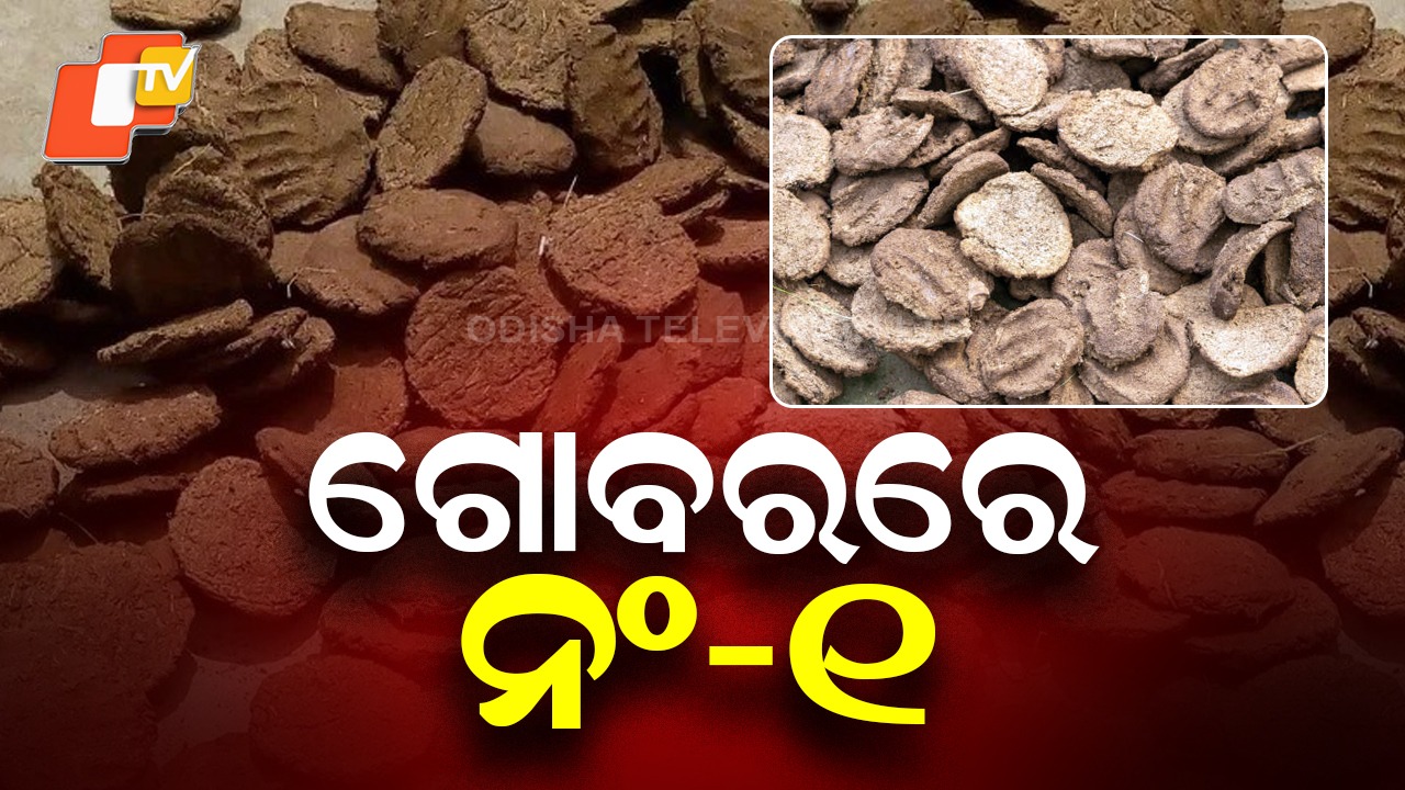 From Waste to Wealth: ଗୋବରର ଏତେ ଡିମାଣ୍ଡ, ଜାଣିଲେ ଆଶ୍ଚର୍ଯ୍ୟ ହେବେ, ଭାରତ କରୁଛି…