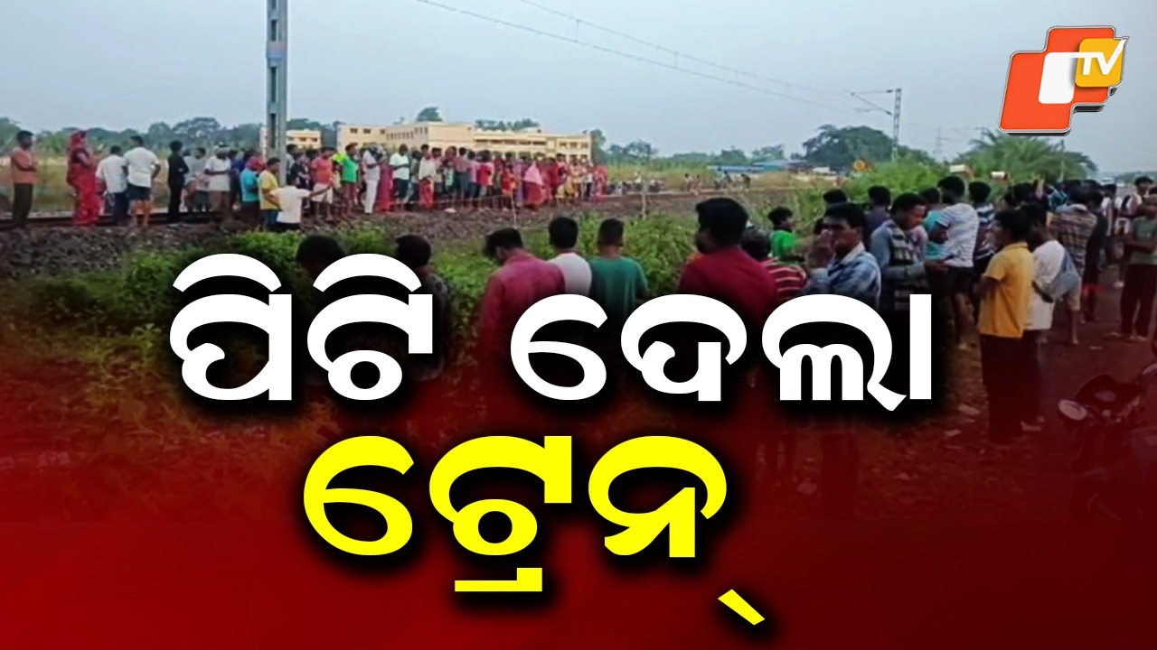 Tusker Killed: ଟ୍ରେନ୍ ଧକ୍କାରେ ଦନ୍ତାହାତୀର ମୃତ୍ୟୁ