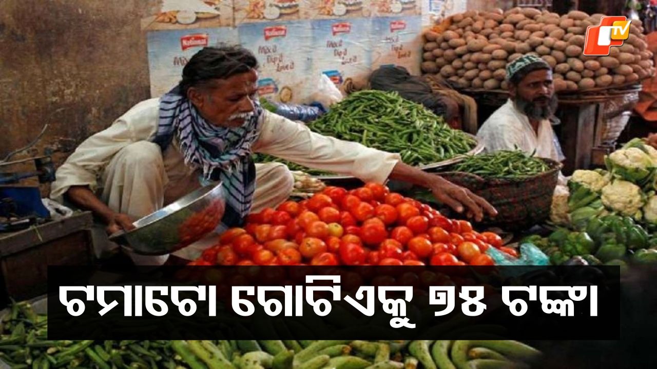 Tomato Terrors: ଟମାଟୋ ଗୋଟିଏକୁ ୭୫ ଟଙ୍କା, ଭେଣ୍ଡି ୩୦୦ ଟଙ୍କା କେଜି....ସ୍ଥିତି ଅସମ୍ଭାଳ