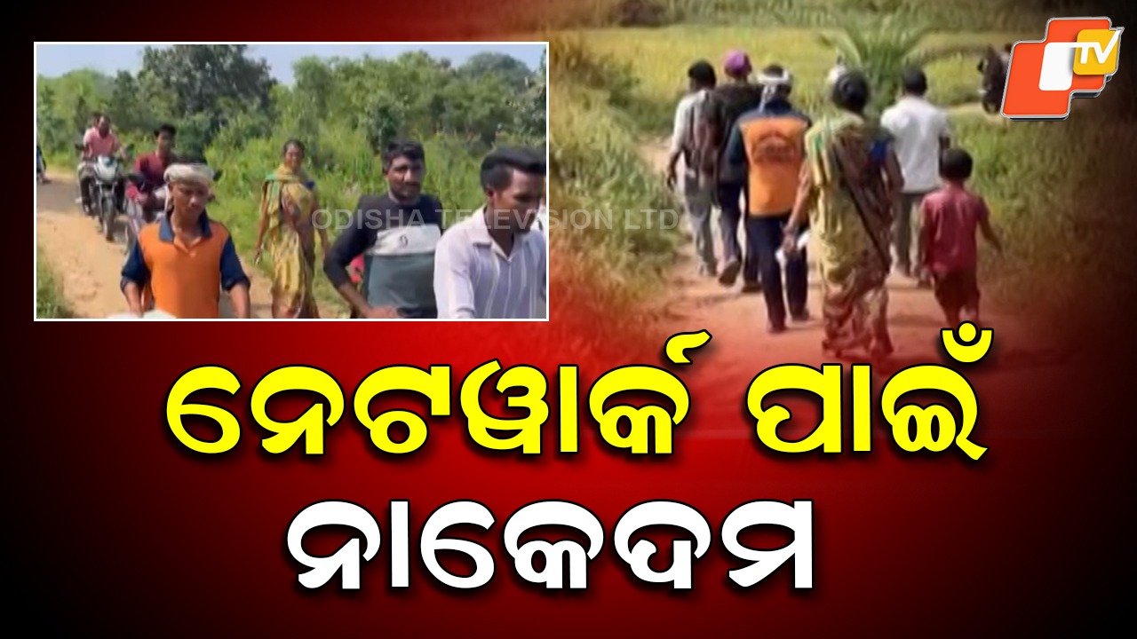 Digital Struggle: ଟାୱାର ଅଛି ହେଲେ ଆସୁନି ନେଟୱର୍କ... ଇ-କେୱାଇସି ପାଇଁ ଚଢ଼ୁଛନ୍ତି ଘାଟି